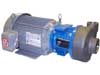 Scot Pump model 19GNS cast 316 stainless steel motorpump 3500 RPM with J56 or TC motor frame