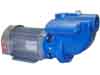 Scot Pump self priming cast iron motorpump model 75-5