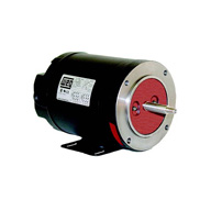 Single Phase WEG Motor