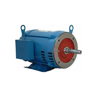 WEG fire pump ODP three phase