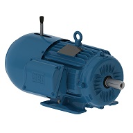 WEG motor parts