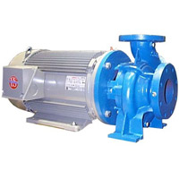 3 HP ODP AMT/WEG Water Pump